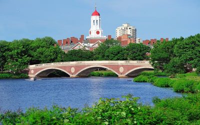 Poisonous Algae Blooms Return to the Charles River