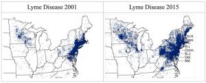 Lyme disease progression maps USA Northeast