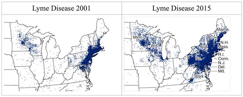 Lyme disease progression maps USA Northeast