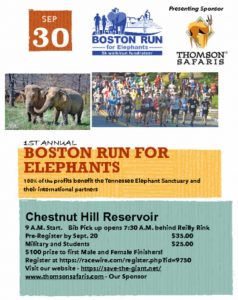 Boston Run for Elephants
