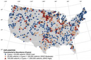 USA map of dangerous cyanobacteria growth in lakes