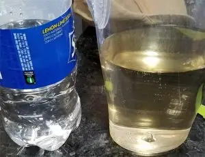 dirty water from the Charles River Boston