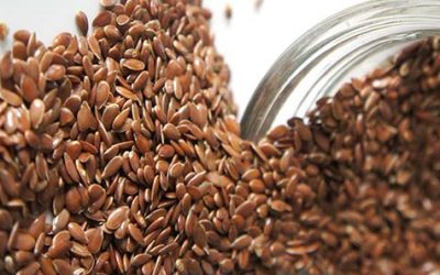 New Flax Seed — But Newer May not Be Better