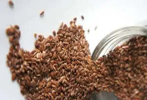 flax seed