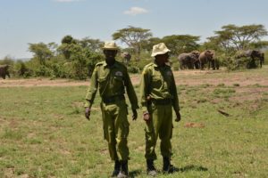 elephant aware rangers