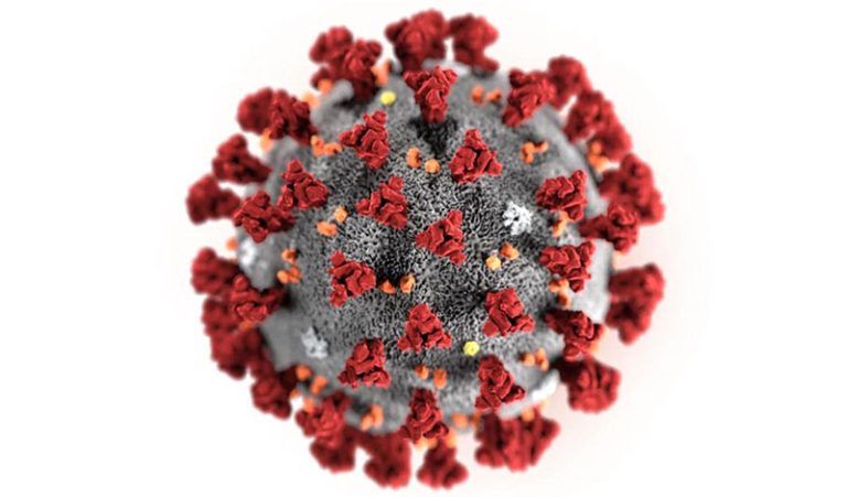 COVID-19 virus