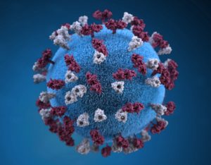 coronavirus cell rendering