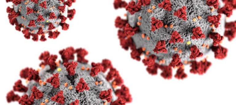 COVID-19 virus via CDC and Unsplash