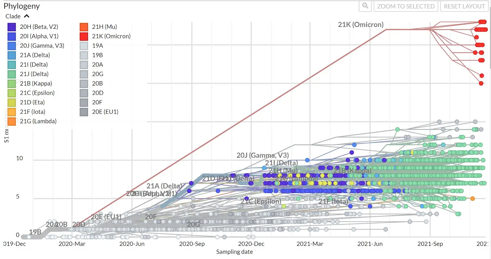 covid phylogenetic tree