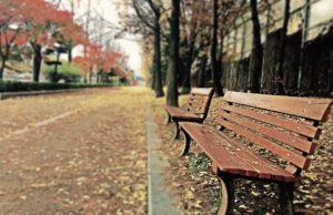 empty park benches depopulation concept