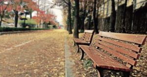 empty park benches depopulation concept