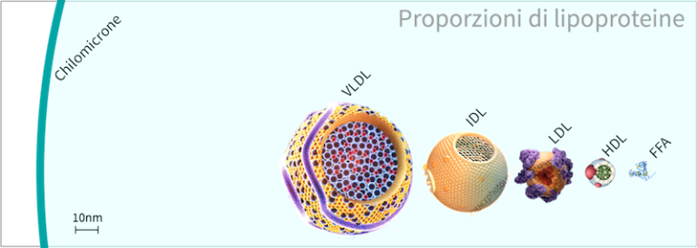 lipoproteins