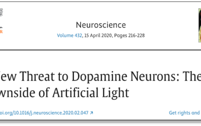 The health benefits of real sunlight and the pleasure of dawn